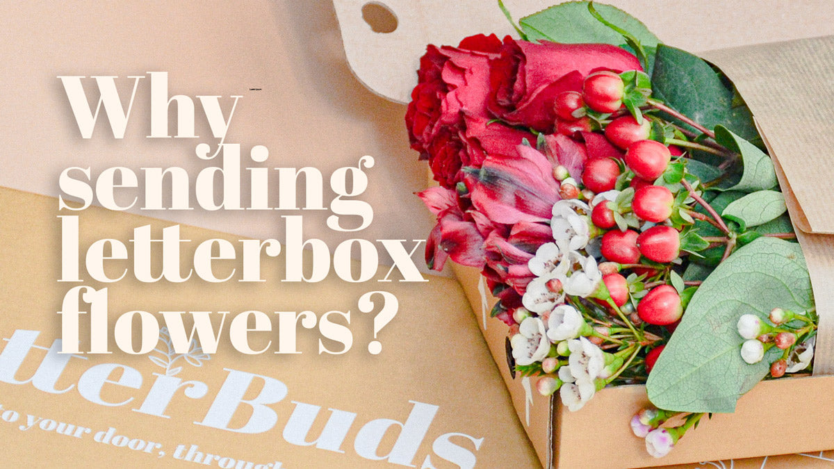 Why Send Letterbox Flowers? | Letterbuds UK – letterbuds